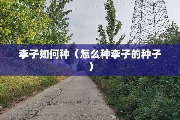 李子如何种（怎么种李子的种子）
