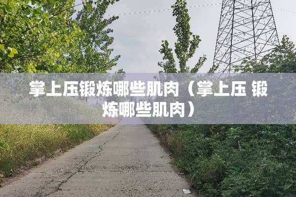 掌上压锻炼哪些肌肉（掌上压 锻炼哪些肌肉）