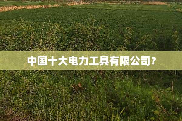 中国十大电力工具有限公司？