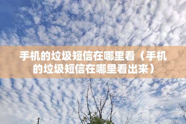 手机的垃圾短信在哪里看（手机的垃圾短信在哪里看出来）