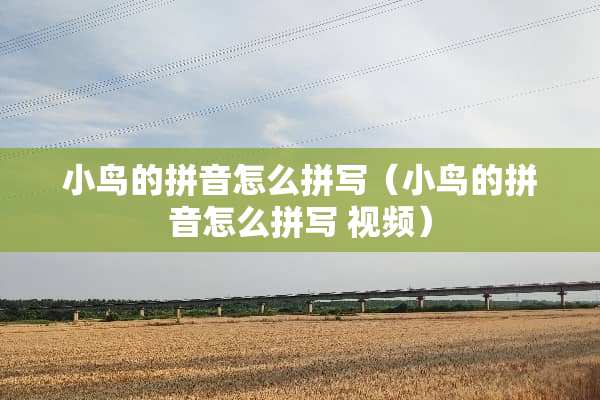 小鸟的拼音怎么拼写（小鸟的拼音怎么拼写 视频）