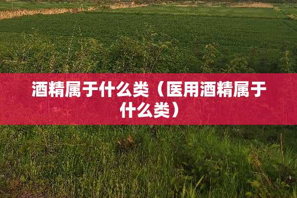 酒精属于什么类（医用酒精属于什么类）
