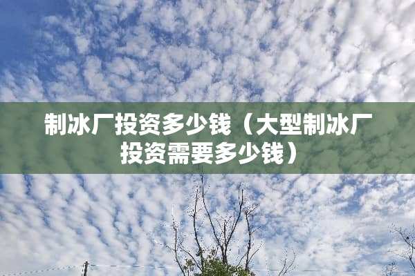 制冰厂投资多少钱（大型制冰厂投资需要多少钱）
