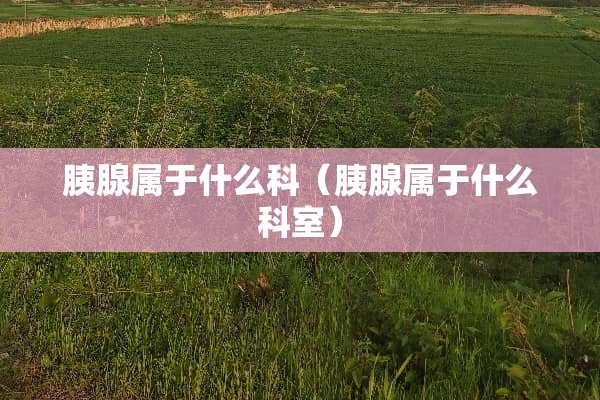 胰腺属于什么科（胰腺属于什么科室）