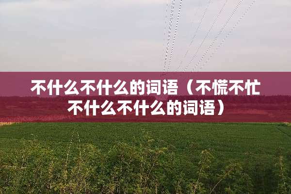 不什么不什么的词语（不慌不忙不什么不什么的词语）