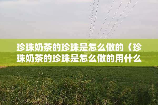 珍珠奶茶的珍珠是怎么做的（珍珠奶茶的珍珠是怎么做的用什么粉）