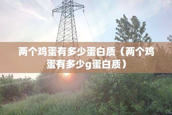 两个鸡蛋有多少蛋白质（两个鸡蛋有多少g蛋白质）
