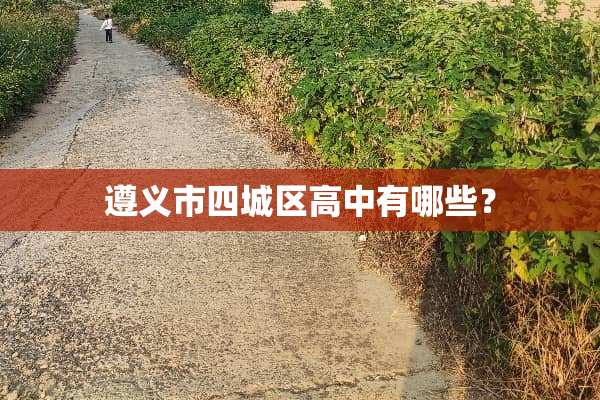 遵义市四城区高中有哪些？