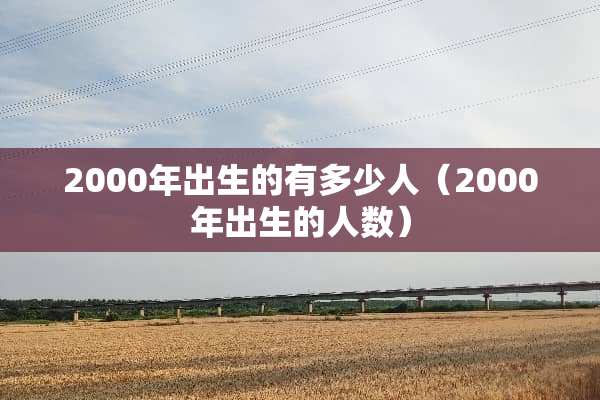 2000年出生的有多少人（2000年出生的人数）
