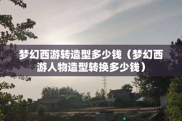 梦幻西游转造型多少钱（梦幻西游人物造型转换多少钱）