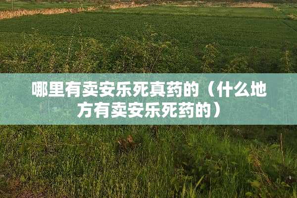 哪里有卖安乐死真药的（什么地方有卖安乐死药的）
