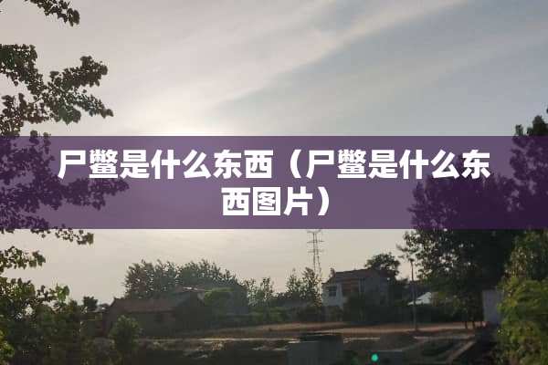 尸鳖是什么东西（尸鳖是什么东西图片）