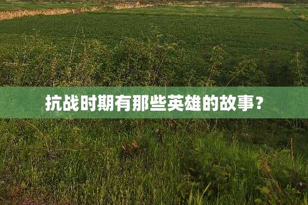 抗战时期有那些英雄的故事？