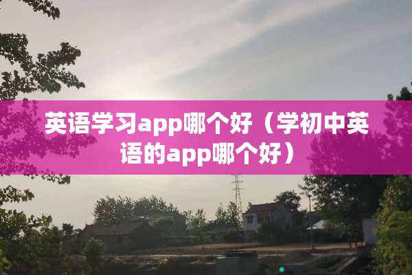 英语学习app哪个好（学初中英语的app哪个好）
