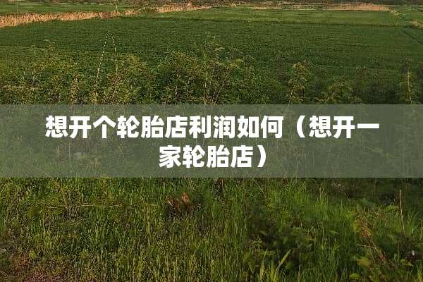 想开个轮胎店利润如何（想开一家轮胎店）