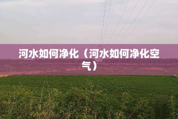 河水如何净化（河水如何净化空气）