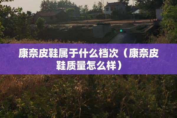 康奈皮鞋属于什么档次（康奈皮鞋质量怎么样）