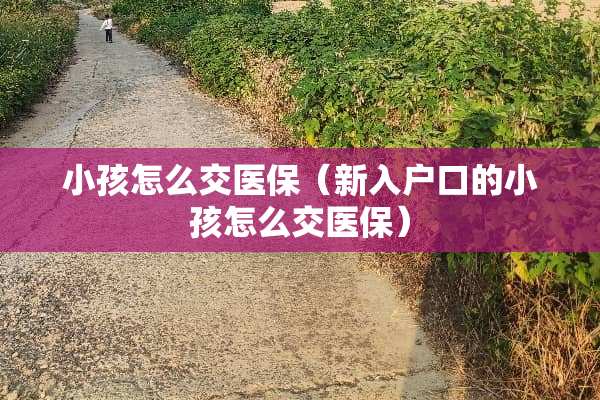 小孩怎么交医保（新入户口的小孩怎么交医保）