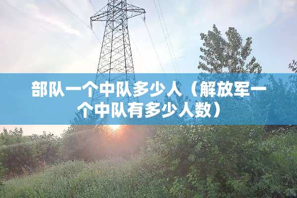 **一个中队多少人（***一个中队有多少人数）