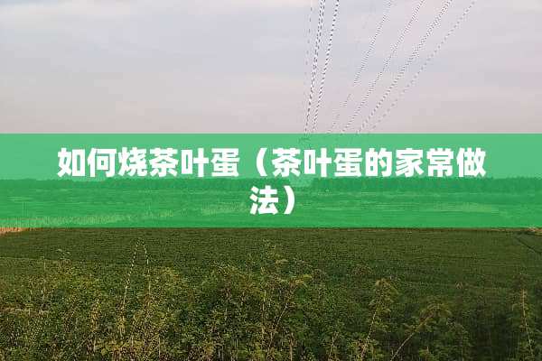 如何烧茶叶蛋（茶叶蛋的家常做法）
