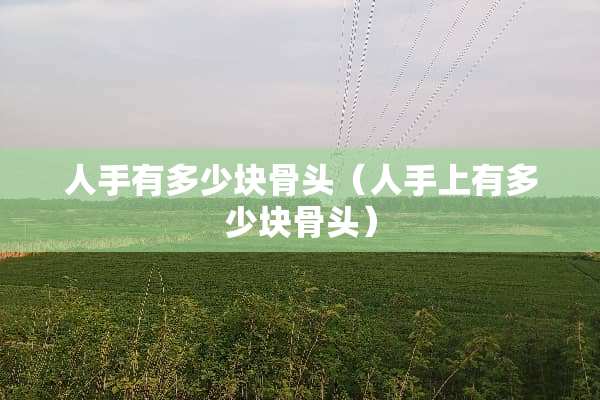 人手有多少块骨头（人手上有多少块骨头）