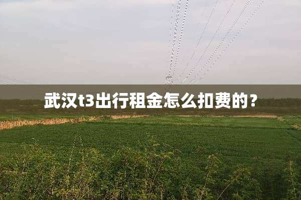武汉t3出行租金怎么扣费的？