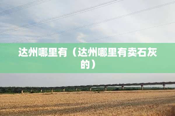 达州哪里有（达州哪里有卖石灰的）