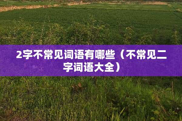 2字不常见词语有哪些（不常见二字词语大全）