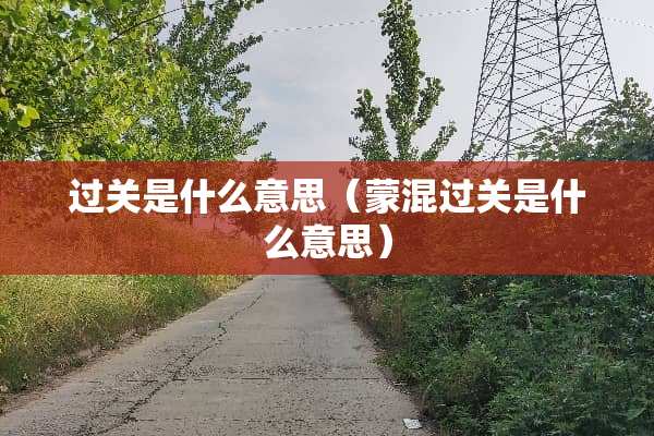 过关是什么意思（蒙混过关是什么意思）
