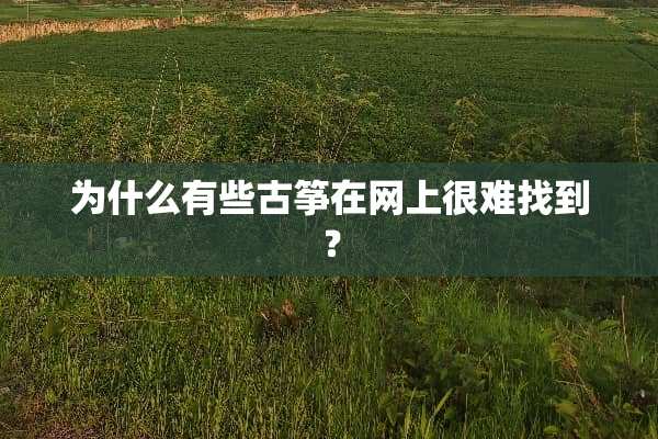 为什么有些古筝在网上很难找到？