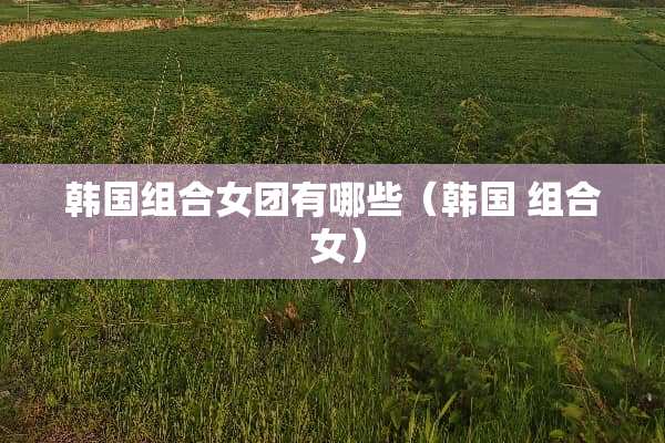 韩国组合女团有哪些（韩国 组合 女）