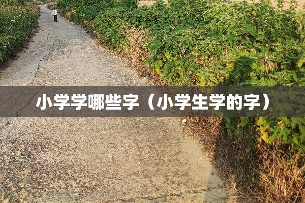 小学学哪些字（小学生学的字）