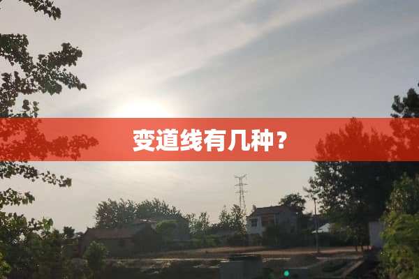变道线有几种？