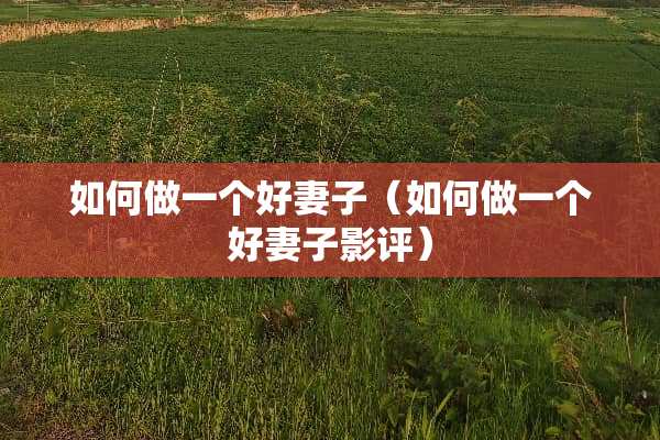 如何做一个好妻子（如何做一个好妻子影评）