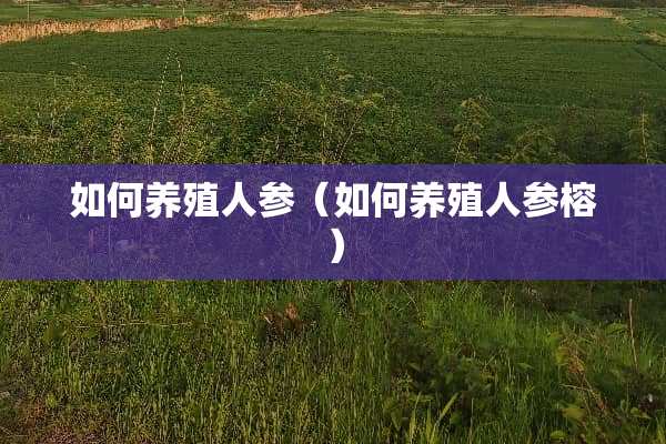 如何养殖人参（如何养殖人参榕）