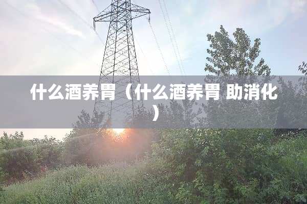 什么酒养胃（什么酒养胃 助消化）