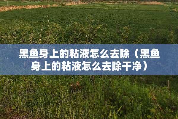 黑鱼身上的粘液怎么去除（黑鱼身上的粘液怎么去除干净）