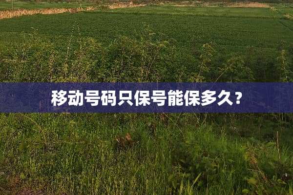 移动号码只保号能保多久？