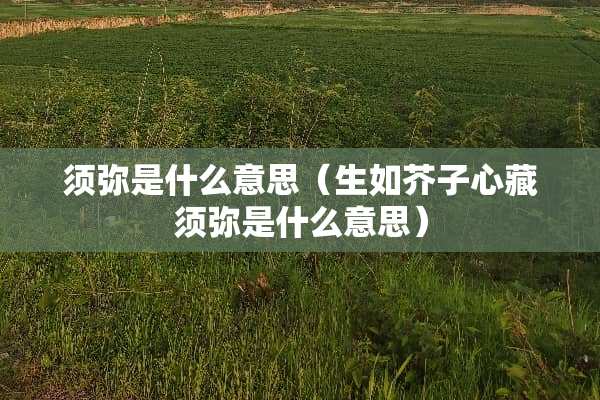 须弥是什么意思（生如芥子心藏须弥是什么意思）