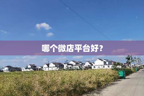 哪个微店平台好？