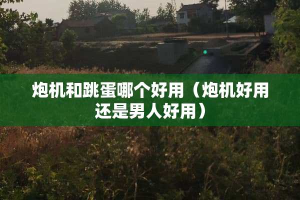 *机和跳蛋哪个好用（*机好用还是男人好用）