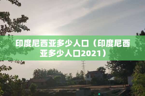 印度尼西亚多少人口（印度尼西亚多少人口2021）