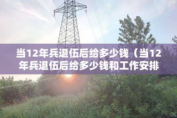当12年兵退伍后给多少钱（当12年兵退伍后给多少钱和工作安排吗）