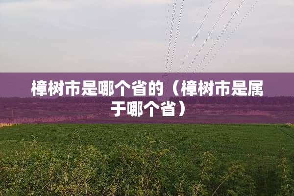 樟树市是哪个省的（樟树市是属于哪个省）