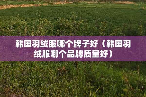 韩国羽绒服哪个牌子好（韩国羽绒服哪个品牌质量好）