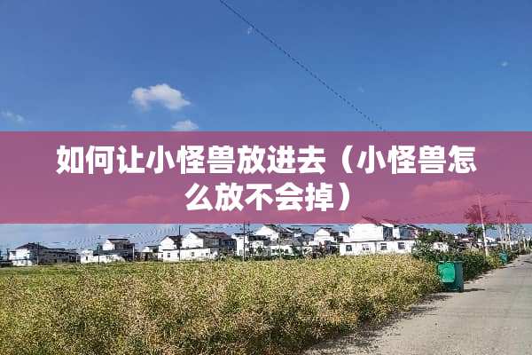 如何让小怪兽放进去（小怪兽怎么放不会掉）