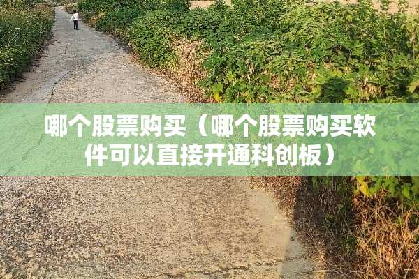 哪个股票购买（哪个股票购买软件可以直接开通科创板）
