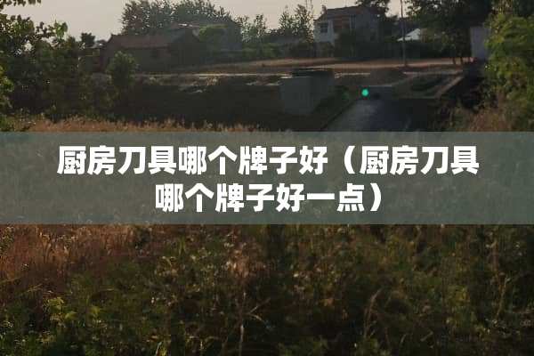 厨房**哪个牌子好（厨房**哪个牌子好一点）