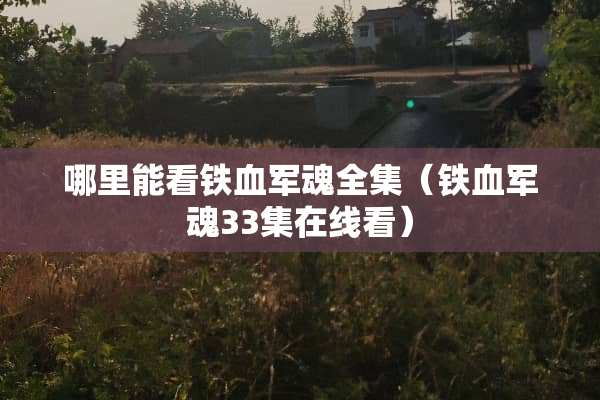 哪里能看铁血军魂全集（铁血军魂33集在线看）