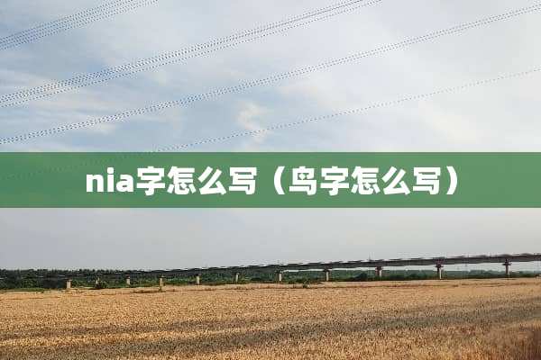 nia字怎么写（鸟字怎么写）